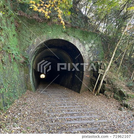 Abandoned railway tunnel 71962107