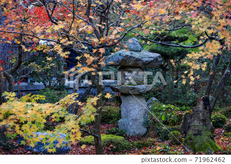 Arakoji寺 Arakoji寺 71962462