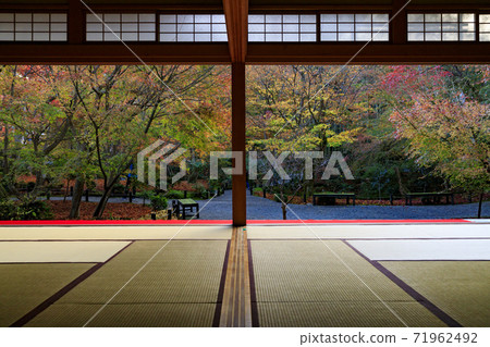 Arakoji Temple 71962492