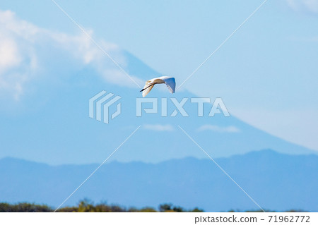 Flight of Ogina 71962772