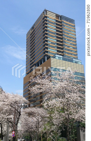 Akasaka Ark Hills Sakura Akasaka Ark Hills Sakura 71962800
