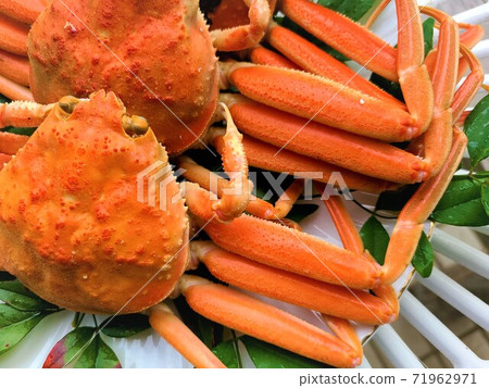 送貨上門香盒蟹祖外蟹香盒蟹材料背景 71962971