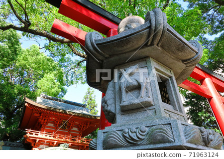 春日神社<愛知縣名古屋市>,主殿內漆成紅色 春日神社<愛知縣名古屋市>,主殿內漆成紅色 71963124