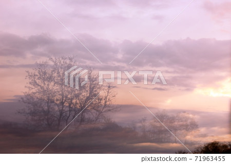 Sunset Sunset 71963455
