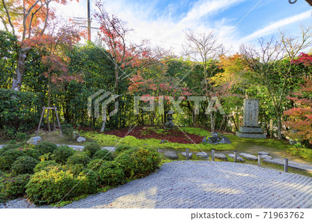 Konpukuji Temple Autumn Leaves 71963762