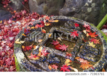 Konpukuji Temple Autumn Leaves 71963781
