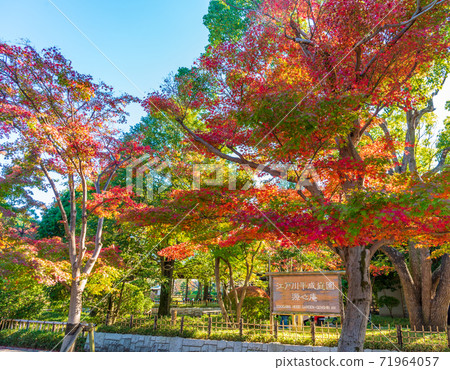 江戶川平成花園 71964057