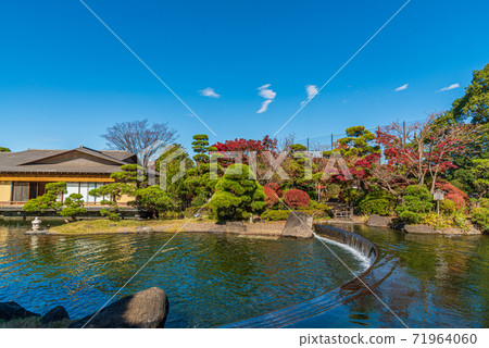 江戶川平成花園 71964060