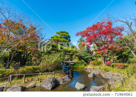 江戶川平成花園 71964061