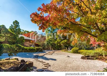 江戶川平成花園 71964064