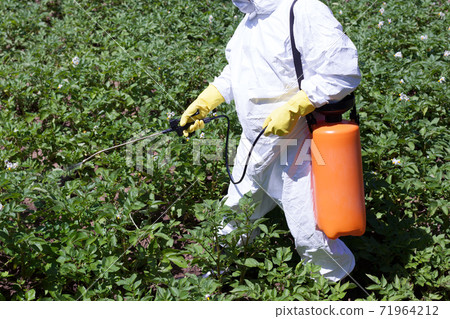 Pesticide spraying. Non-organic vegetables. Pollution. 71964212
