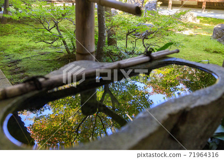 Kennin-ji Temple秋葉 71964316