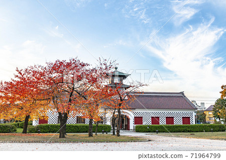 秋葉和歷史古蹟新潟前海關(秋天) 秋葉和歷史古蹟新潟前海關(秋天) 71964799