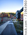 Suspension bridge park river 71964960