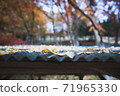 Ginkgo roof fallen leaves 71965330