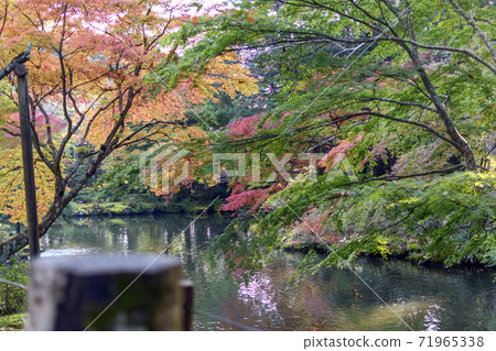 成田山公園秋葉 成田山公園秋葉 71965338