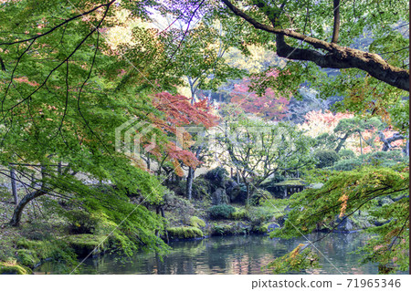 成田山公園秋葉 成田山公園秋葉 71965346