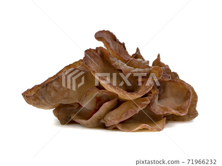 ear mushroom or Jew's ear isolated on white background ear mushroom or Jew's ear isolated on white background 71966232