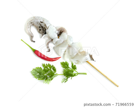 tentacles of squid with skewer isolated on white background 71966559
