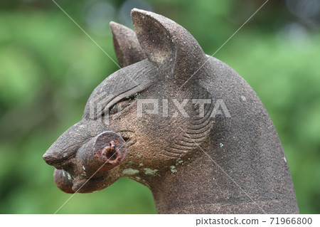 伏見稻荷狐狸 伏見稻荷狐狸 71966800