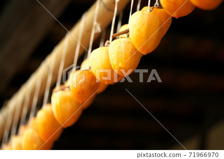 Winter persimmon Winter persimmon 71966970