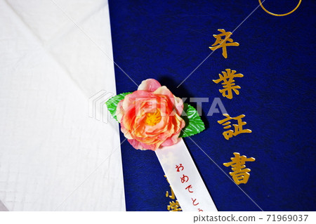 Graduation morning 71969037