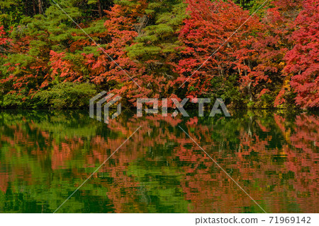 Beautiful autumn leaves of Lake Inaga Beautiful autumn leaves of Lake Inaga 71969142