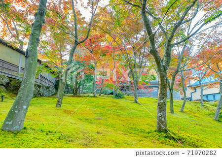 秋葉秋景箱根博物館 秋葉秋景箱根博物館 71970282