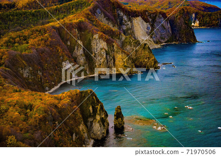 Sekitan藍色和秋天的落葉 71970506