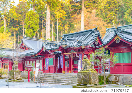 Hakone Shrine, Hakone Town, Kanagawa Prefecture Hakone Shrine, Hakone Town, Kanagawa Prefecture 71970727