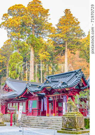 Hakone Shrine, Hakone Town, Kanagawa Prefecture Hakone Shrine, Hakone Town, Kanagawa Prefecture 71970729