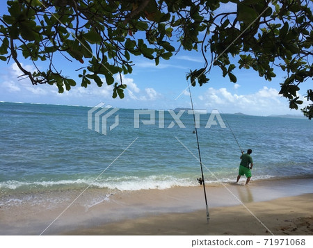 夏威夷旅遊風光 71971068