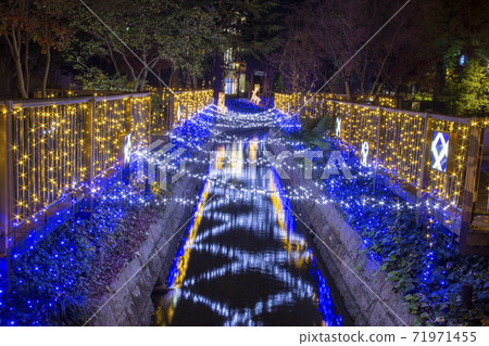 Take a deeper picture of the illuminations of the glittering life 71971455