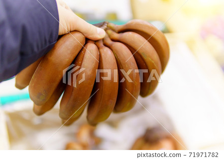 red bananas are brown on the shelves of a hypermarket. selective focus red bananas are brown on the shelves of a hypermarket. selective focus 71971782