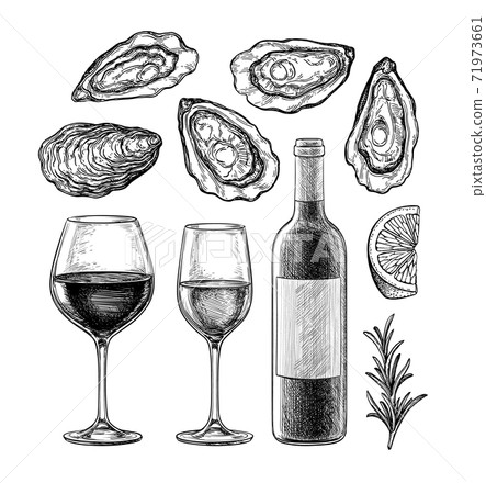 Ink sketch set of wine and oysters. Ink sketch set of wine and oysters. 71973661