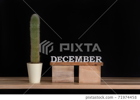 Wooden calendar of December and cactus on black background. Mock up. 71974458