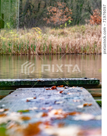 Old wooden pier with fall yellow leaves on a forest lake. Quiet and calm. Old wooden pier with fall yellow leaves on a forest lake. Quiet and calm. 71976097