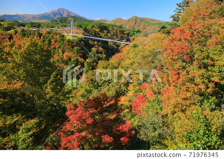 [大分縣]九州Yumedai吊橋和秋葉在晴朗的天氣下 71976345