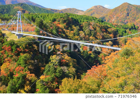 [Oita Prefecture] Kokonoe Yume Otsuri Bridge and autumn leaves under fine weather 71976346