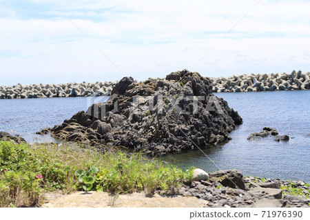 Rocks on the coast of Hegurajima 71976390
