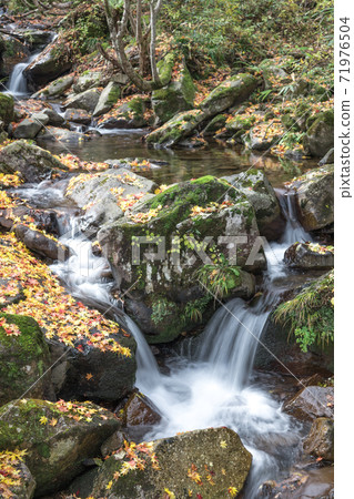 [飛ida高山：用緩慢的快門拍攝美麗的秋葉的宇津市十八瀑布的照片] 71976504