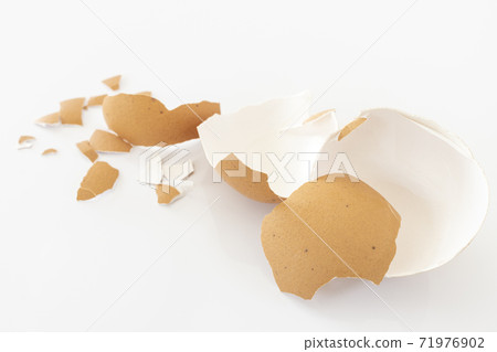 Photo of brown egg shell Photo of brown egg shell 71976902