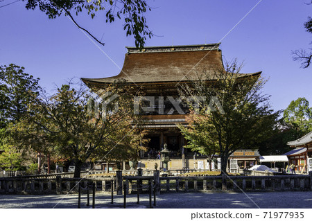 Yoshino Kinpusenji Temple Four Sakura, Yoshino Town, Yoshino District, Nara Prefecture 71977935