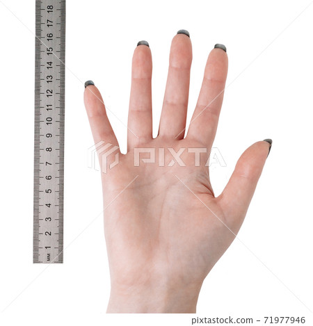 Women open hand isolated on white. For taking measurements Women open hand isolated on white. For taking measurements 71977946