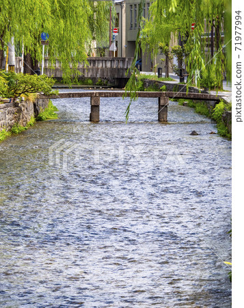 Scenery of Gion Shirakawa and Ipponbashi (Sakyo-ku, Kyoto City) Scenery of Gion Shirakawa and Ipponbashi (Sakyo-ku, Kyoto City) 71977994