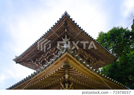 岩屋寺 岩屋寺 71978037