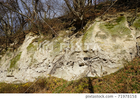 工藤城堡遺址懸崖 71978158