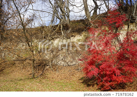 工藤城堡遺址懸崖 71978162