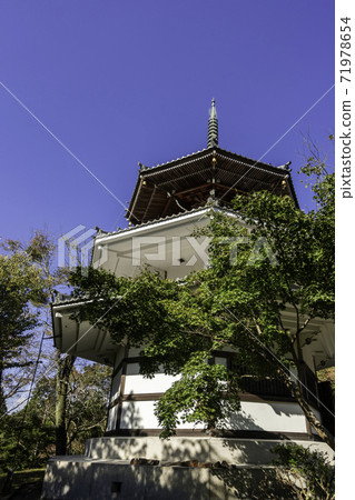 吉野郡吉野郡吉野町吉野金峰山寺南町妙保殿 71978654