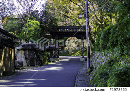奈良縣吉野郡吉野町吉野金mine山治黑門 71978863